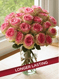 Organic Bouquet: One Dozen Crown Majesty Roses + 12 Free - $69.95