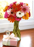 Organic Bouquet: Buy 15, Get 10 Free On Gerberas Daisy - $59.95