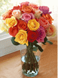 Organic Bouquet: Sale On TWO Dozen Rainbow Roses