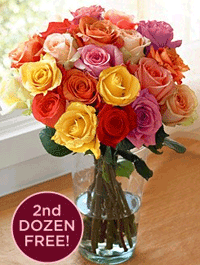 Organic Bouquet: Buy 1 Dozen, Get 1 Dozen FREE Assorted Roses - $69.95