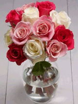 Organic Bouquet: $30 Off Colorful Roses