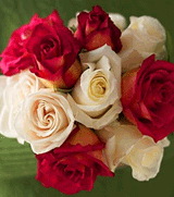 Organic Bouquet: $20 Off Peppermint DOUBLE Twist