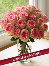 Organic Bouquet: One Dozen Crown Majesty Roses + 12 Free