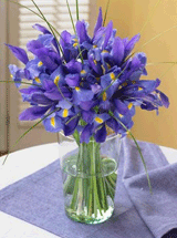 Organic Bouquet: 20% Off Blue Iris Bouquet