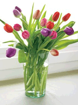 Organic Bouquet: $10 Off 15 Stems Colorful Assorted Tulips