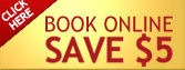 Gray Line New York Sightseeing: $5 Off  Book Online