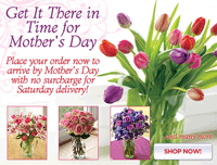 Organic Bouquet: It's Not Too Late-Mother's Day Delivery Still Available!
