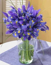 Organic Bouquet: Blue Iris Bouquet