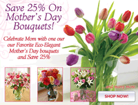 Organic Bouquet: 25% Off Mother's Day Bouquets