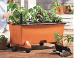 EarthBox: Shop For Replant Kits
