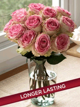 Organic Bouquet: $10 Off 18 Stem Crown Majesty Roses (12 Stems + 6 Free)
