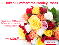 Organic Bouquet: 40% Off Two Dozen Assorted Roses
