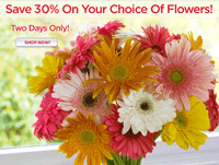 Organic Bouquet: 30% Off All Flowers