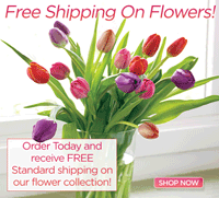 Organic Bouquet: Free Standard Shipping