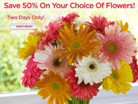Organic Bouquet: 50% Off All Flowers