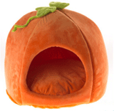PetSmart: 25% Off Pet Halloween Pumpkin Dome Dog Bed