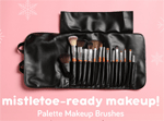 Vanity Planet: 70% Off Professional Makeup Brush Collection
