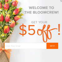A Better Florist: $5 Off