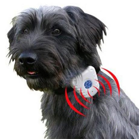 BoardwalkBuy: 82% Off - No-Bark Dog Collar