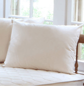 Naturepedic: Organic Cotton Pillow As Low As $49