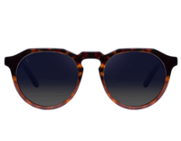 Hawerks: Bicarey Blue Degrade Warwick Sunglasses For 40€