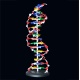 LighTake: 41% Off DNA Structure Model