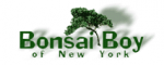 Click to Open Bonsai Boy of New York Store